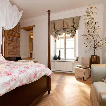 Luxury Apartment-historical Michel Sittow's House